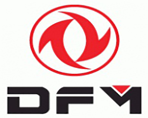 DFM